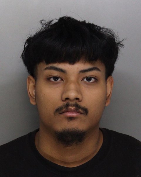 Mugshot of DEVIN LONG