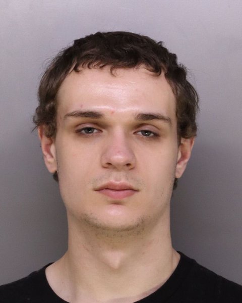 Mugshot of DION MILLS