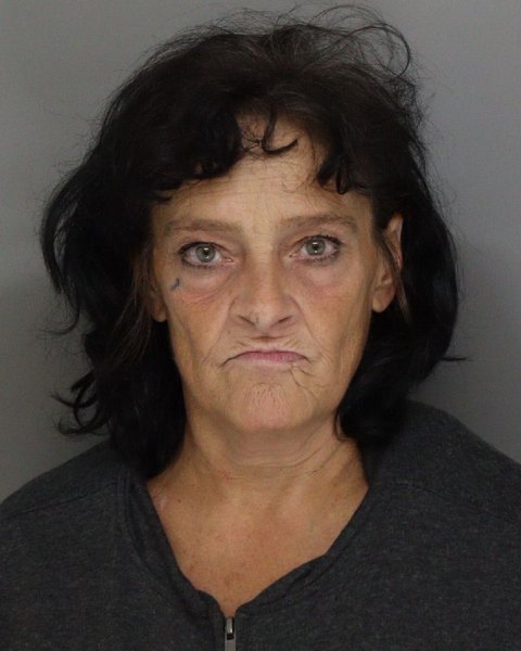 Mugshot of JULIE MCGOWAN