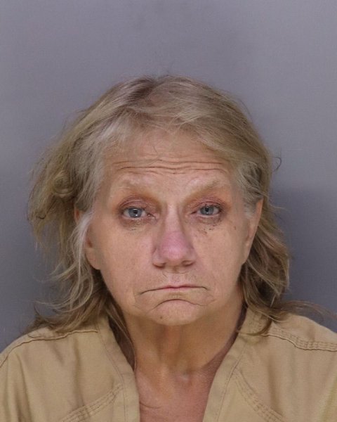 Mugshot of PAMELA WERTZ