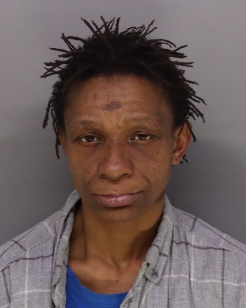 Mugshot of ERICA PARRISH
