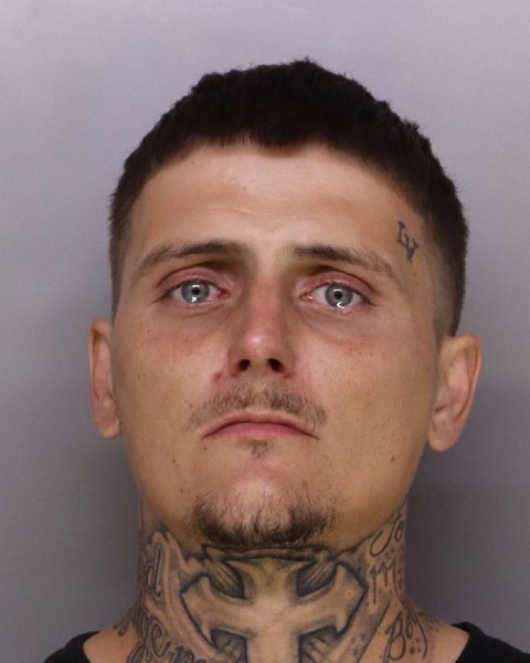 Mugshot of BLAKE NICKOSON