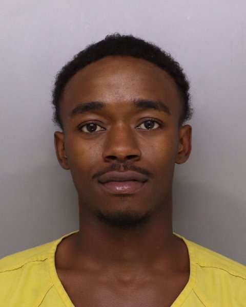 Mugshot of ROBERT ERVIN