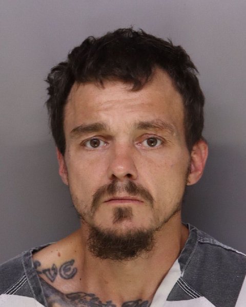 Mugshot of DAVID WALKER