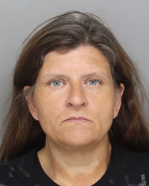 Mugshot of CHRISTINA ALCORN