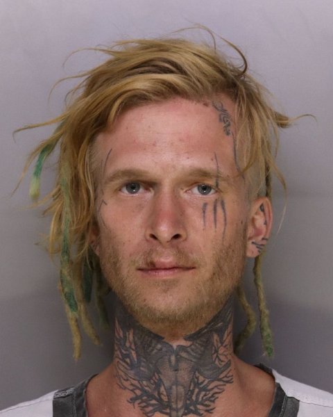 Mugshot of TAYLOR MURRAY