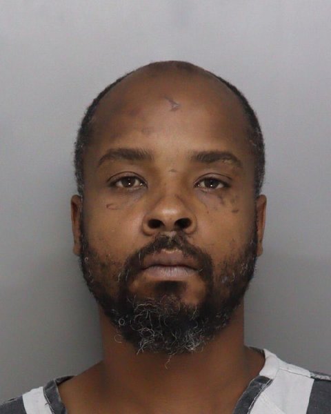 Mugshot of DION HOUSTON