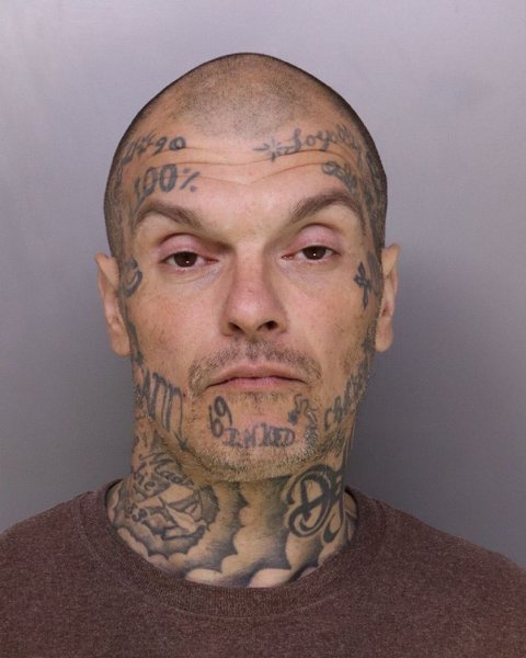 Mugshot of MARK JOHNSON