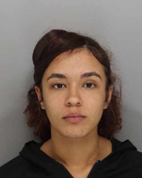 Mugshot of VIRGINIA PATTERSON-NICELY