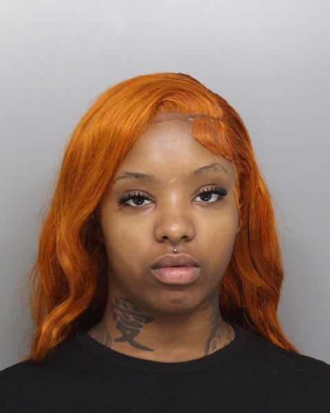 Mugshot of NAOMI HOLLOWAY