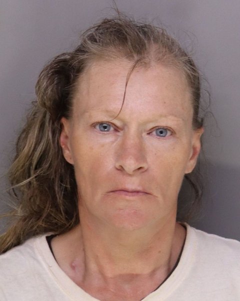 Mugshot of DENISE PERKINS