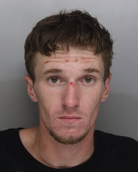 Mugshot of TED HUGHES