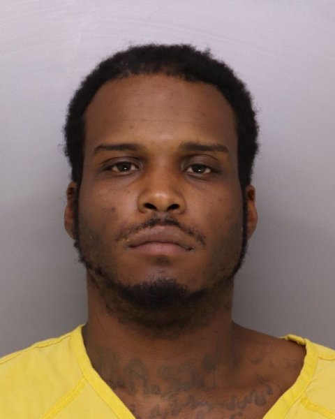 Mugshot of RONNIE ROCKET