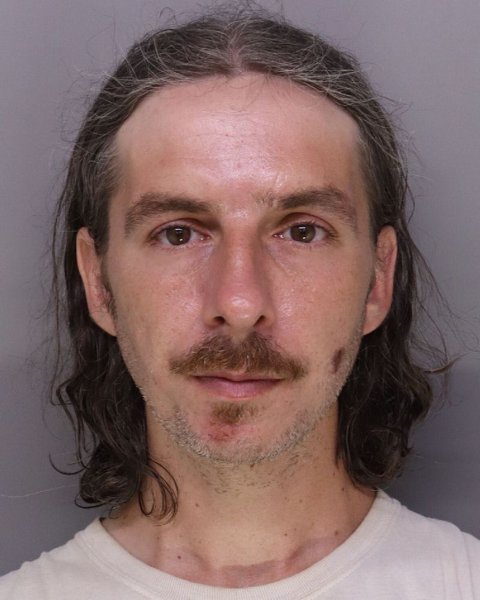 Mugshot of MICHAEL LANDIN