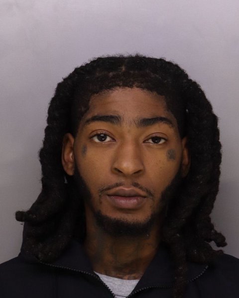 Mugshot of REION BOGGAN