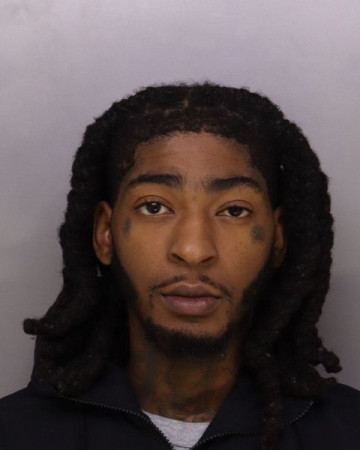 Mugshot of REION BOGGAN
