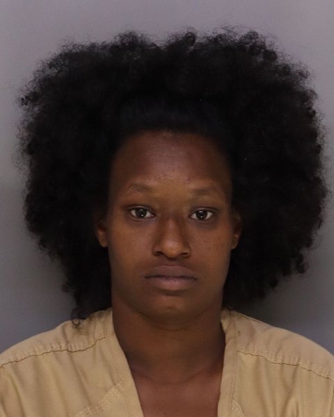 Mugshot of TAMIKA COLEMAN