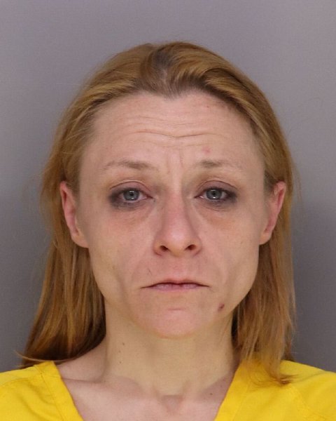 Mugshot of JENNIFER MCDULIN