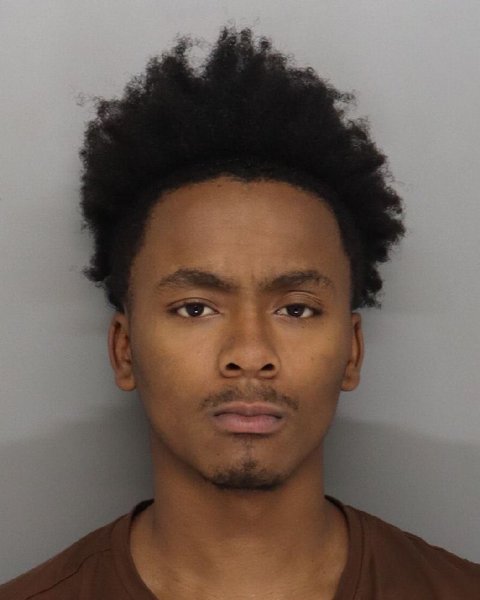 Mugshot of ERIK EVANS