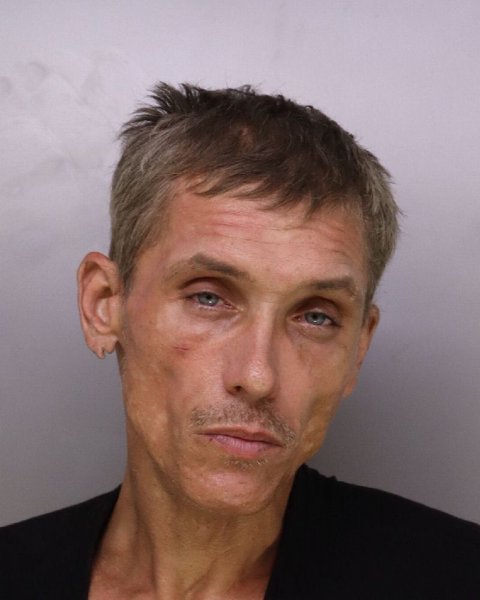 Mugshot of SHAIN PLAVSIC