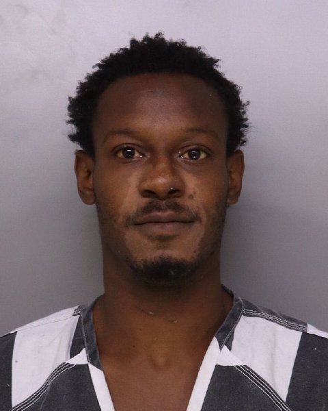 Mugshot of LAMONDRE ROUMEGOUX