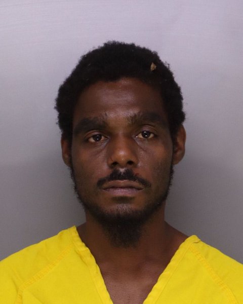 Mugshot of DERRICO LEVINGSTON