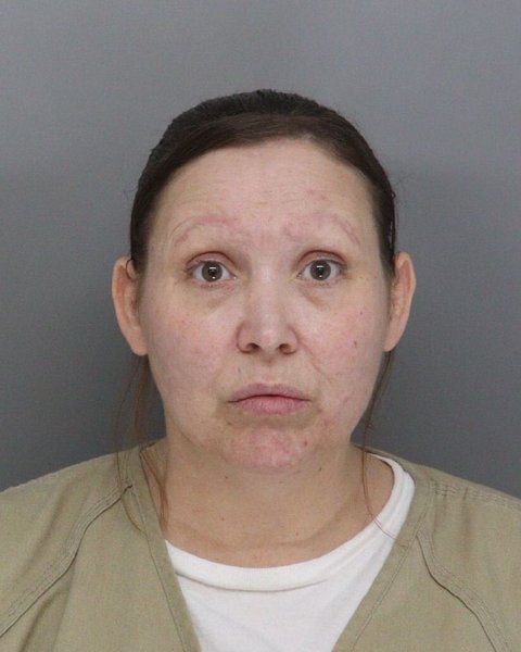 Mugshot of AMY WATERS