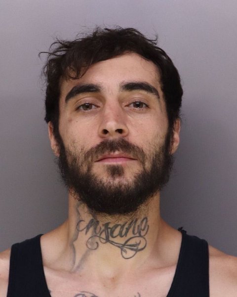 Mugshot of DENNIS POLAND