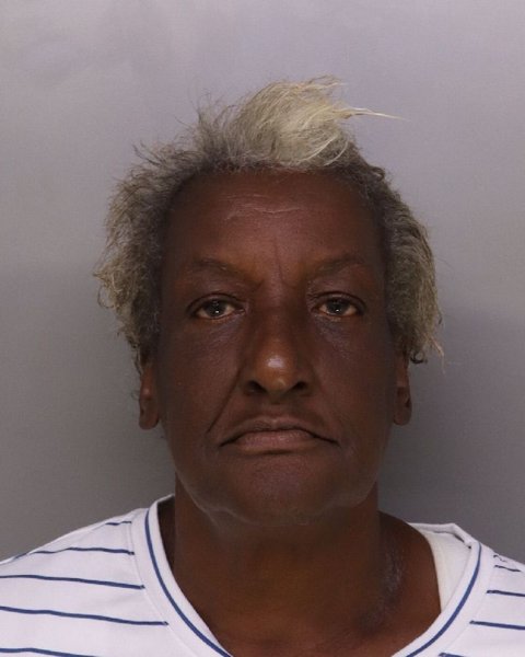 Mugshot of WANDA HALL