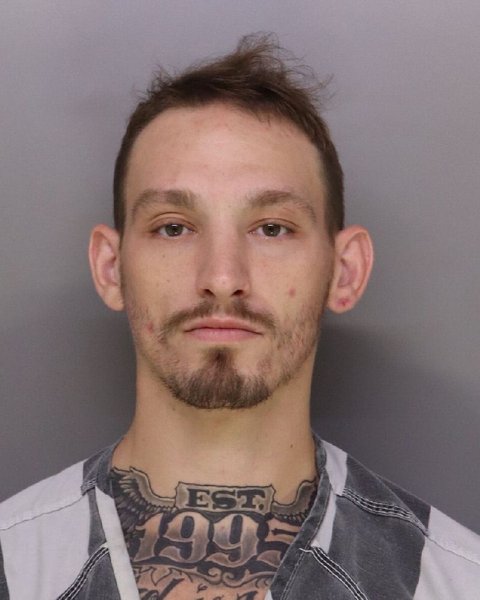Mugshot of NICOLA TRACY