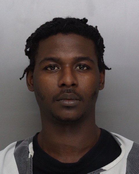 Mugshot of JAMELLE TERRELL
