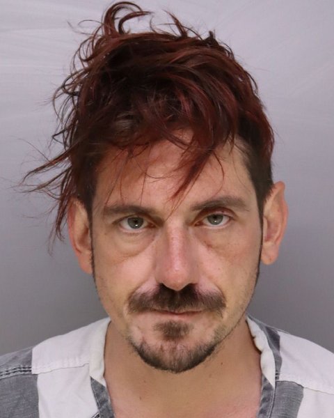 Mugshot of DUSTIN HEDGES