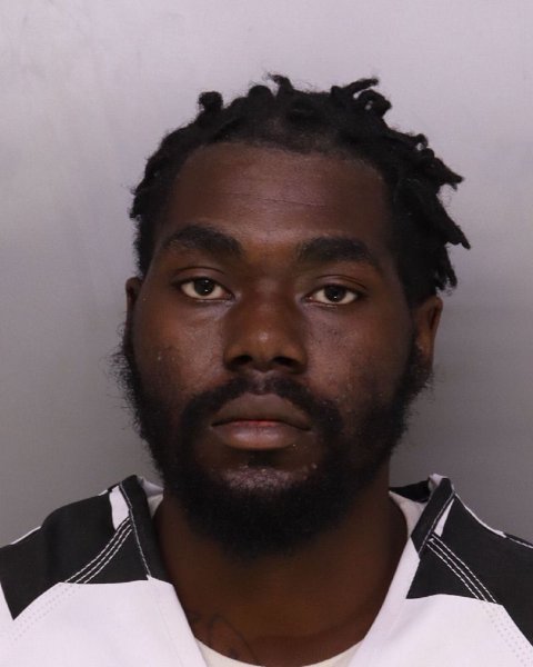 Mugshot of LESANE HAYWOOD