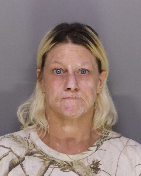 Mugshot of ELIZABETH ADAMS