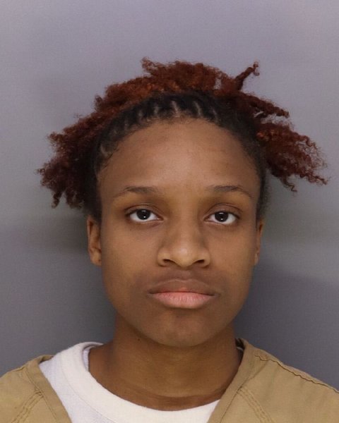 Mugshot of IVANA KELLIS