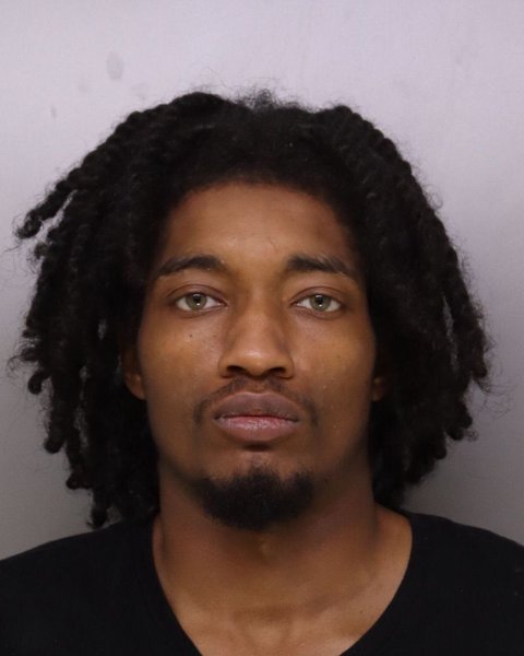 Mugshot of DEMETRICE ANDERSON