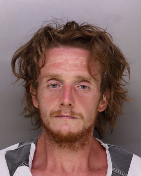 Mugshot of JAMES HOPKINS