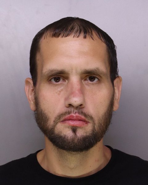 Mugshot of RYAN LOONEY
