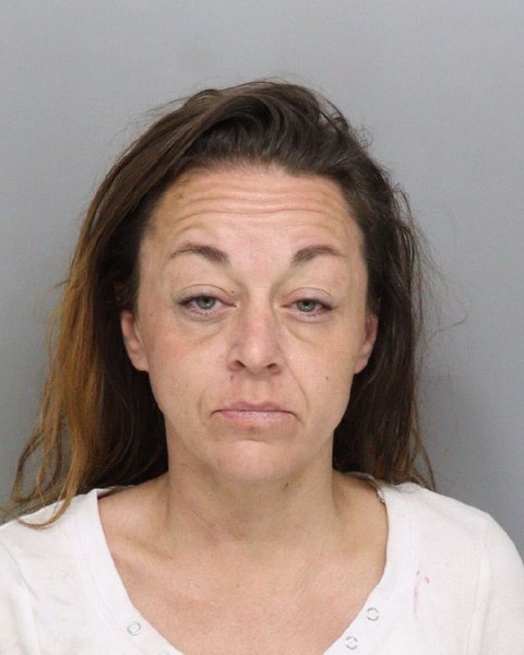 Mugshot of BROOK ELLIS