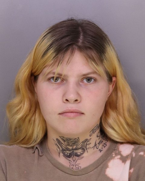 Mugshot of ALLY SCHMIDT