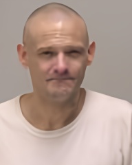 Mugshot of Jason Anthony Meihls