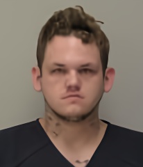 Mugshot of Aaron James Adams