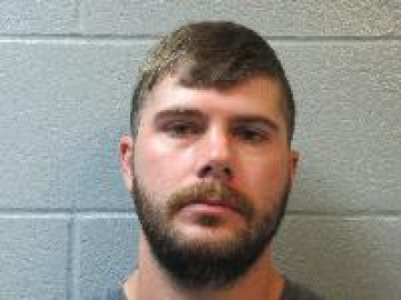 Mugshot of Brandon Mark Stevens