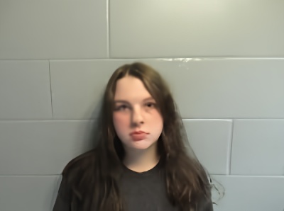Mugshot of Kayla Nichole Goble