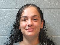 Mugshot of Amanda Rae Gibson