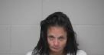 Mugshot of AMANDA DAWN LOW