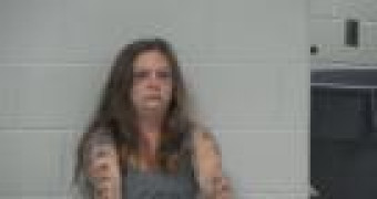 Mugshot of HEIDI SUE DIBLE