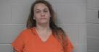 Mugshot of HEATHER DANIELLE STEIN