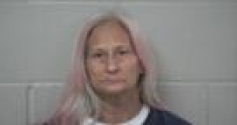 Mugshot of CAROL SUE DOWELL