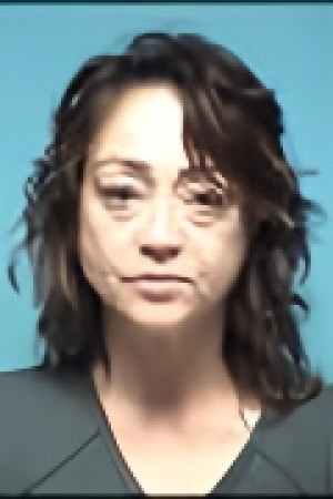 Mugshot of LISA M FLEMING